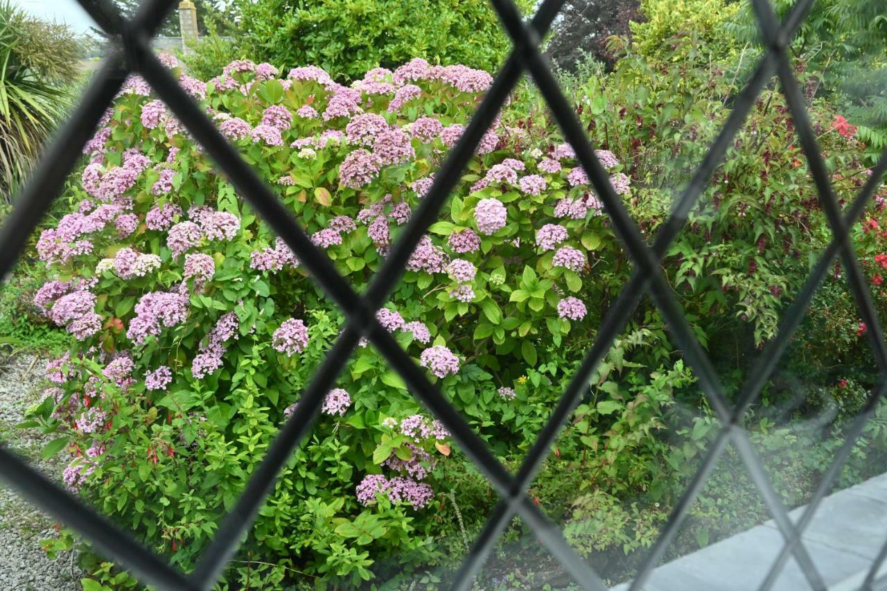 Halwell Lodge St Ives Eksteriør bilde